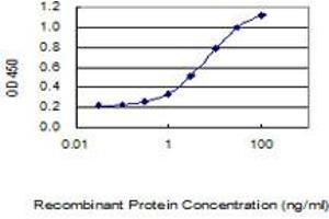 Detection limit for recombinant GST tagged TMEM81 is 0. (TMEM81 抗体  (AA 1-255))