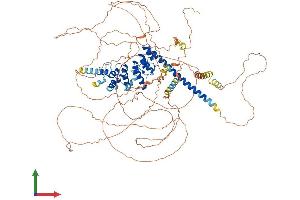 Protein Structure (PS) image for Synuclein, alpha Interacting Protein (SNCAIP) (AA 1-962) protein (His tag) (ABIN7560403)