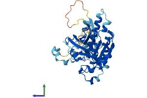 Protein Structure (PS) image for X-Ray Repair Complementing Defective Repair in Chinese Hamster Cells 3 (XRCC3) (AA 1-346) protein (His tag) (ABIN7556057)