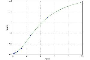 A typical standard curve (LGALS8 ELISA 试剂盒)