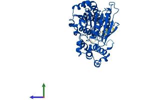 Protein Structure (PS) image for Abhydrolase Domain Containing 3 (ABHD3) (AA 1-409) protein (His tag) (ABIN7551892)