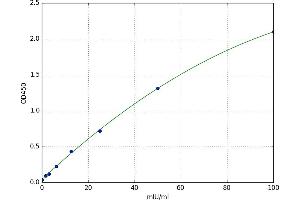 Cyclin-Dependent Kinase 7 (CDK7) ELISA Kit