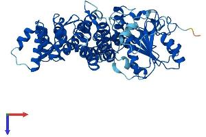 TROVE2 Protein (AA 1-538) (His tag)