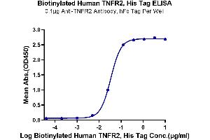 Immobilized Anti-TNFR2 Antibody, hFc Tag at 1 μg/mL (100 μL/well) on the plate. (TNFRSF1B Protein (AA 23-257) (His tag,Biotin))