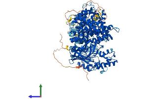 Protein Structure (PS) image for Acyl-CoA Dehydrogenase Family, Member 10 (ACAD10) (AA 1-1069) protein (His tag) (ABIN7564646)