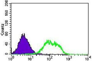 Flow cytometric analysis of HEK293 cells using GUCY1A3 mouse mAb (green) and negative control (purple). (GUCY1A1 抗体  (AA 22-214))