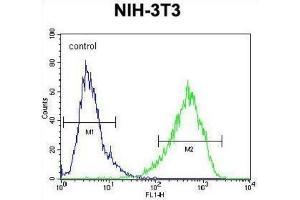 Flow Cytometry (FACS) image for anti-Homeobox and Leucine Zipper Encoding (HOMEZ) antibody (ABIN2995832) (HOMEZ 抗体)