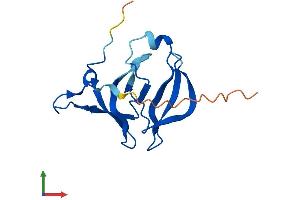 AlphaFold protein structure predicition of Mouse Recombinant Fam72a Protein, UniprotID Q8BFZ8