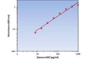 This is an example of what a typical standard curve will look like. (EGF ELISA 试剂盒)