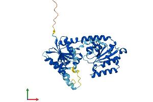 Protein Structure (PS) image for Asparagine-Linked Glycosylation 2, alpha-1,3-Mannosyltransferase Homolog (ALG2) (AA 1-416) protein (His tag) (ABIN7551970)