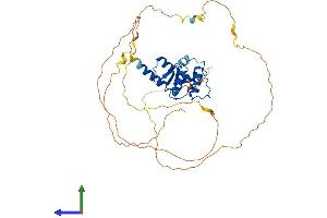 Protein Structure (PS) image for Small ArfGAP2 (SMAP2) (AA 1-428) protein (His tag) (ABIN7558218)