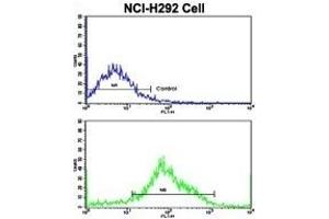 Flow Cytometry (FACS) image for anti-Pleckstrin Homology Domain Containing, Family G (With RhoGef Domain) Member 6 (PLEKHG6) (AA 60-87), (N-Term) antibody (ABIN390909)