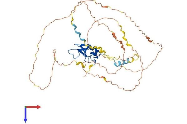 RNF44 Protein (AA 1-432) (His tag)