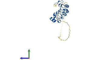Protein Structure (PS) image for Acidic (Leucine-Rich) Nuclear phosphoprotein 32 Family, Member B (ANP32B) (AA 1-251) protein (His tag) (ABIN7552052)
