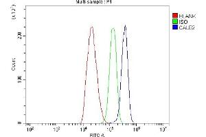 Flow Cytometry analysis of C6 cells using anti-Calretinin/CALB2 antibody (ABIN7602106).