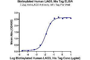 ELISA image for Lymphocyte-Activation Gene 3 (LAG3) (AA 23-434) protein (His-Avi Tag,Biotin) (ABIN7275115)