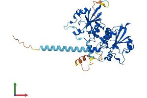 Protein Structure (PS) image for Phosphate Cytidylyltransferase 2, Ethanolamine (PCYT2) (AA 1-389) protein (His tag) (ABIN7550668)