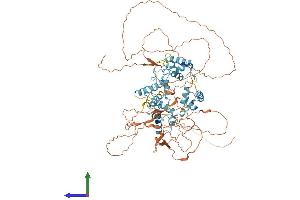 AlphaFold protein structure predicition of Mouse Recombinant Dmtf1 Protein, UniprotID Q8CE22