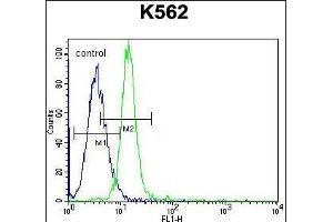 Flow Cytometry (FACS) image for anti-Potassium Voltage-Gated Channel, Subfamily H (Eag-Related), Member 2 (KCNH2) (AA 861-888) antibody (ABIN652759)