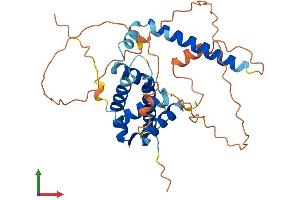 Protein Structure (PS) image for BCL2-Like 14 (Apoptosis Facilitator) (BCL2L14) (AA 1-328) protein (His tag) (ABIN7560477)
