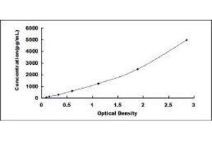 Glutathione Reductase (GSR) ELISA Kit