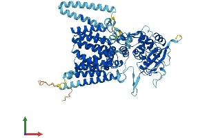 Protein Structure (PS) image for STT3, Subunit of The Oligosaccharyltransferase Complex, Homolog A (STT3A) (AA 1-705) protein (His tag) (ABIN7555660)