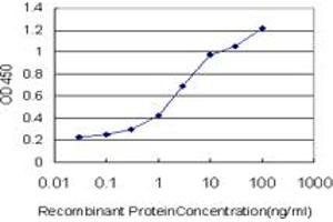 Detection limit for recombinant GST tagged ANXA10 is approximately 0. (Annexin a10 抗体  (AA 1-324))