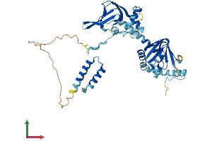 AlphaFold protein structure predicition of Mouse Recombinant Prkar2b Protein, UniprotID P31324
