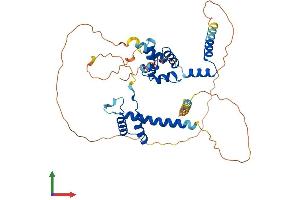 Protein Structure (PS) image for Homeobox Containing 1 (HMBOX1) (AA 1-420) protein (His tag) (ABIN7548275)