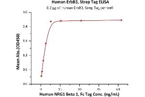 ELISA image for Receptor Tyrosine-Protein Kinase ErbB-3 (ERBB3) (AA 20-643) protein (Strep Tag) (ABIN6810022)