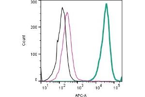 anti-Anoctamin 1, Calcium Activated Chloride Channel (ANO1) (AA 679-694), (Extracellular) antibody