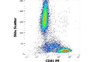 Flow cytometry surface staining pattern of human peripheral whole blood stained using anti-human CD81 (M38) PE antibody (20 μL reagent / 100 μL of peripheral whole blood). (CD81 抗体  (PE))