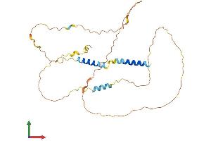 Protein Structure (PS) image for Immediate Early Response 5 (IER5) (AA 1-308) protein (His tag) (ABIN7562715)