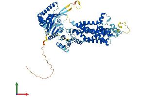 AlphaFold protein structure predicition of Human Recombinant ABCG5 Protein, UniprotID Q9H222