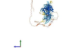 Protein Structure (PS) image for Chromosome 1 Open Reading Frame 38 (C1orf38) (AA 1-663) protein (His tag) (ABIN7560123)