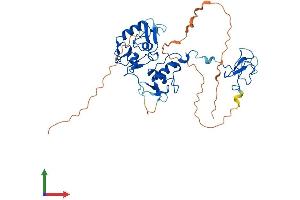 AlphaFold protein structure predicition of Human Recombinant PHF7 Protein, UniprotID Q9BWX1