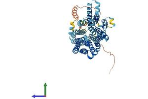 Protein Structure (PS) image for Solute Carrier Family 45, Member 2 (SLC45A2) (AA 1-530) protein (His tag) (ABIN7545951)