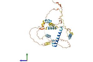 Protein Structure (PS) image for BCL2-Like 12 (Proline Rich) (BCL2L12) (AA 1-334) protein (His tag) (ABIN7552626)