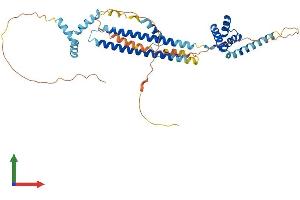 Protein Structure (PS) image for Pre-B-Cell Leukemia Transcription Factor 3 (PBX3) (AA 1-434) protein (His tag) (ABIN7550579)