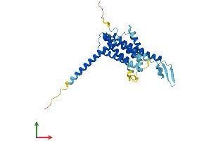 Protein Structure (PS) image for Fat Storage-Inducing Transmembrane Protein 1 (FITM1) (AA 1-292) protein (His tag) (ABIN7559978)
