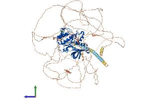 Protein Structure (PS) image for BMP2 Inducible Kinase (BMP2K) (AA 1-1161) protein (His tag) (ABIN7552739)