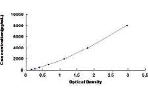 Typical standard curve (LEFTY1 ELISA 试剂盒)