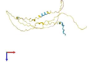 NUCKS1 Protein (AA 1-234) (His tag)