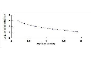ELISA image for Gonadotropin-Releasing Hormone 1 (Luteinizing-Releasing Hormone) (GNRH1) ELISA Kit (ABIN424258)