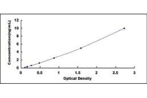 Typical standard curve (CCKAR ELISA 试剂盒)
