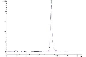 The purity of Mouse Glypican 1/GPC1 is greater than 95 % as determined by SEC-HPLC. (GPC1 Protein (AA 24-529) (His tag))