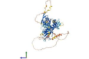 Protein Structure (PS) image for Growth Factor Receptor-Bound Protein 10 (GRB10) (AA 1-594) protein (His tag) (ABIN7554056)