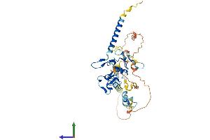 AlphaFold protein structure predicition of Mouse Recombinant Dpf1 Protein, UniprotID Q9QX66
