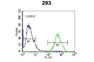 Flow Cytometry (FACS) image for anti-CAAX Prenyl Protease 2 (RCE1) antibody (ABIN3001522) (RCE1/FACE2 抗体)