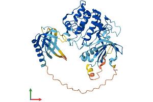Protein Structure (PS) image for V-Akt Murine Thymoma Viral Oncogene Homolog 2 (AKT2) (AA 1-481) protein (His tag) (ABIN7551966)
